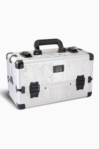 Professional Beauty Case in Silver